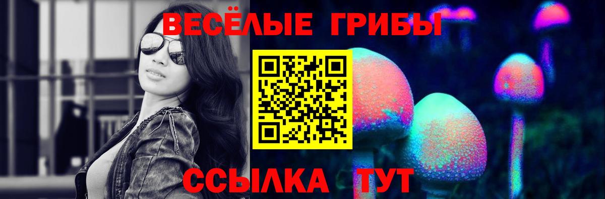 Галлюциногенные грибы мухоморы  Галлюциногенные грибы прущие грибы  Вход с VPN  закладки  Ялта 